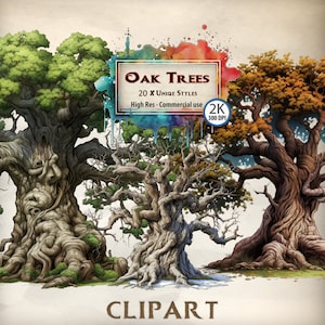 Árbol Clipart Antigua Fantasía Roble Árbol Gráficos Bosque Encantado Naturaleza Ilustraciones Invierno primavera verano otoño Árboles PNG