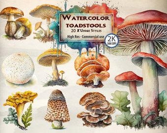 Watercolor Mushroom Clipart Bundle: Cottagecore Fungi (PNG Files)