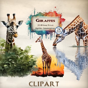 Giraffe Clipart: Safari Jungle Animal Graphics (PNG Files)