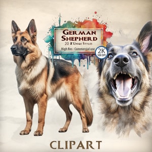 Hond clipart Duitse herder clipart bundel ras illustratie hondenliefhebbers schattig gezicht honden huisdier thema graphics dier PNG