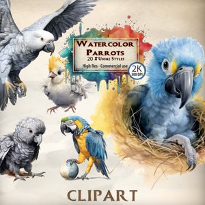 Pappagallo clipart uccello clipart bambino pappagallo macaw clipart Africano grigio clipart cockatiel clipart Pet Clipart Bundle pappagallo volante dell'acquerello