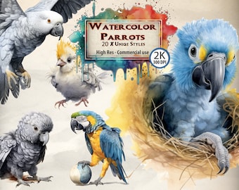 Watercolor Parrot Clipart Bundle: Macaw, Cockatiel, African Grey (PNG Files)