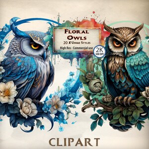 Floral uilen clipart decoratieve maan hemelse nacht vogel graphics rustiek bos Boho bloem maan kroon illustraties PNG-bestanden