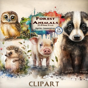 Clipart animaux forêt animaux clipart bundle animaux sauvages été créatures des bois illustration mignon bébé lac Cottagecore PNG