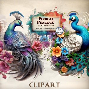 Floral paons Clipart oiseau fleur graphiques coloré plumes de paon Illustrations botanique Nature plumage jardin coussin PNG Transparent