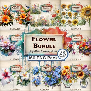 Bloem clipart commerciële bloemen clipart bundel paradijsvogel wilde zon bloemen lotus hangende mand hibiscus vergeet me niet bloemisterij vaas