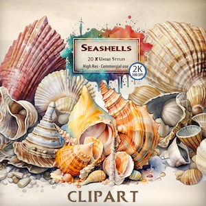 Seashell Clipart Bundle: Watercolor Beach Shells (PNG Digital Download)