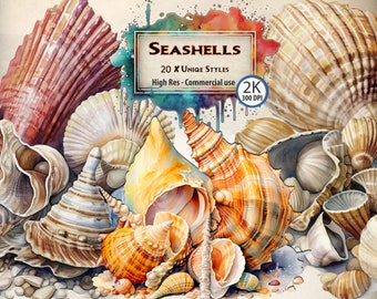 Seashell Clipart Bundle: Watercolor Beach Shells (PNG Digital Download)