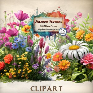Weidebloemen Clipart Wilde bloemen Graphics Geïllustreerd Bloem PNG Transparant Commercieel Gebruik Afbeeldingen Tuinplanten Bloemen Levendige Ontwerpen