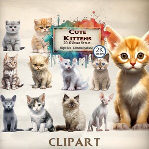 Cat Clipart Cute Kitten clipart bundle cute animal watercolor clipart kitten junk journal cute cat kitten wallpaper kitties cat face clipart
