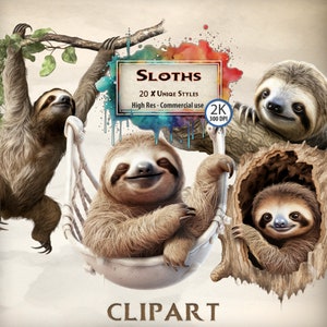 Perezoso Clipart Cute Baby Sloth Animal Ilustraciones para Tree Lazy Nature Wildlife Rainforest Jungle-Themed Graphics PNG Transparente