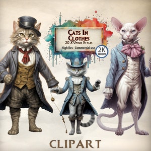 Chat Clipart Chats dans les vêtements Graphiques Amoureux des chats Illustrations Chats portant des vêtements vintage Chats Habillés Animal PNG Costume de chat Illustration