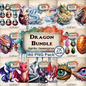 Dragon Clipart Massive Fantasy Dragon Bundle Dwarves Eggs Hatchling Chinese Dragon Celestial Floral Fairy Tale Cute Dragon Mythical Eyes PNG
