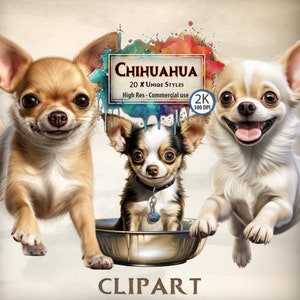 Chihuahua Clipart hond illustraties bundel voor hondenliefhebbers schattige kleine Chihuahua gezichten hondenras puppy huisdier thema graphics commercieel gebruik