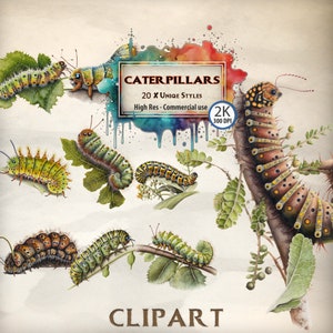 Caterpillar clipart watercolor garden decor insect clipart bundle hungry animal cute bug clipart bookworm kids nature teacher PNG green Art