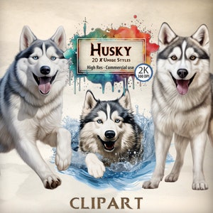 Husky Dog Clipart Bundel voor dierenliefhebbers Leuke Grote Husky Gezichten Hondenras Puppy Illustraties Thema Graphics Commerciële Transparante PNG