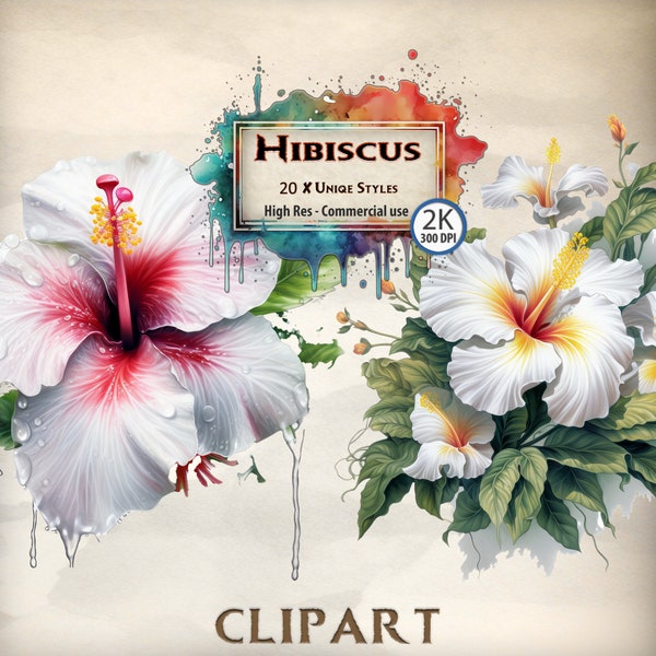 Hibiscus Clipart Tropical Flower Illustrations and Exotic Floral Graphics for Vibrant Summer Designs Hawaiian themed Tropical island Petals