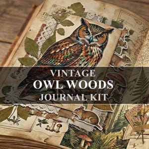 May include: An open vintage journal with a large owl sticker, forest-themed ephemera, and the text "VINTAGE OWL WOODS JOURNAL KIT." The owl is brown, orange, and green. The journal pages have a map design.