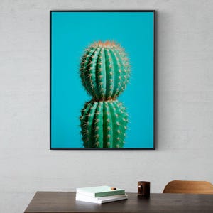 Cactus Blue 3 / Póster de gran formato / Colores pastel / Fotografía de cactus / Arte mural imprimible