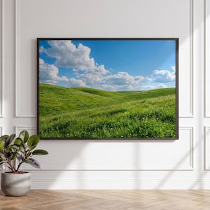 May include: A framed print depicting a verdant landscape of rolling hills beneath a clear blue sky with scattered white clouds. The artwork is mounted on a white wall above a wooden floor, with a potted plant in the foreground.