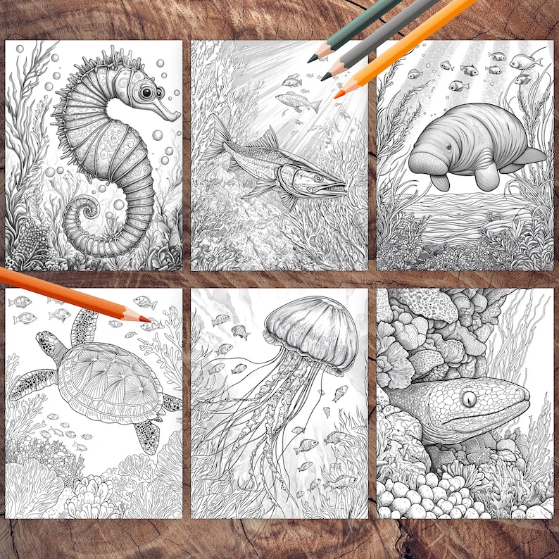 Adorable sea animals coloring book for kids