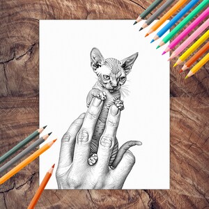 Palm-sized micro kittens coloring book pages