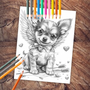 Chihuahua with heart-shaped balloon coloring pages