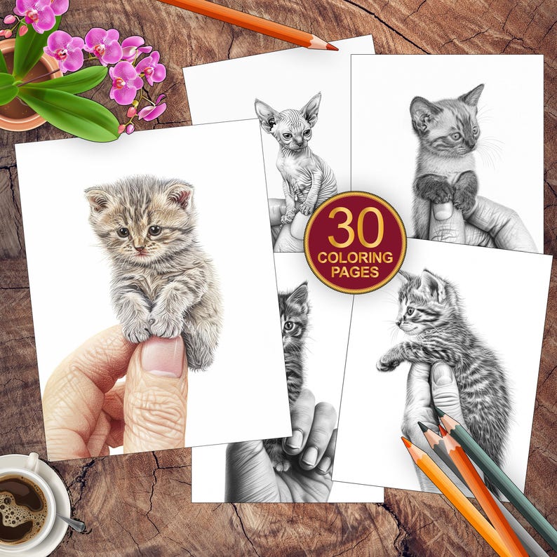 May include: A collection of 30 coloring pages featuring detailed pencil drawings of kittens. The images are in black and white, with a variety of kitten breeds and poses. Colored pencils are visible, along with a cup of coffee and a small orchid.
