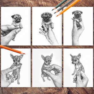 Tiny palm-sized puppies coloring book