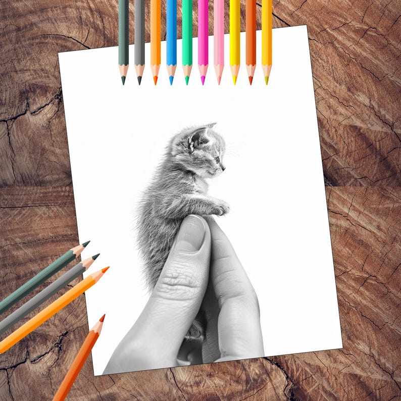 Tiny kittens in palm coloring book illustrations