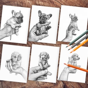 Palm-sized tiny puppies coloring pages