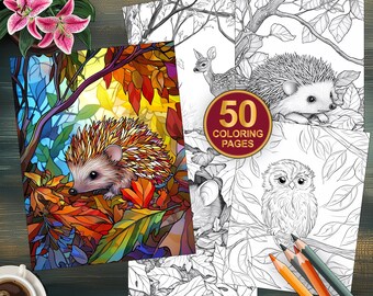 50 Cozy Forest Friends Coloring Book - Printable PDF - Fun Activity Coloring Pages - Woodland Animals for Kids and Adults - Instant Download