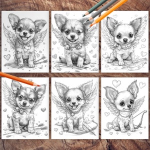 Valentine chihuahua puppy for coloring