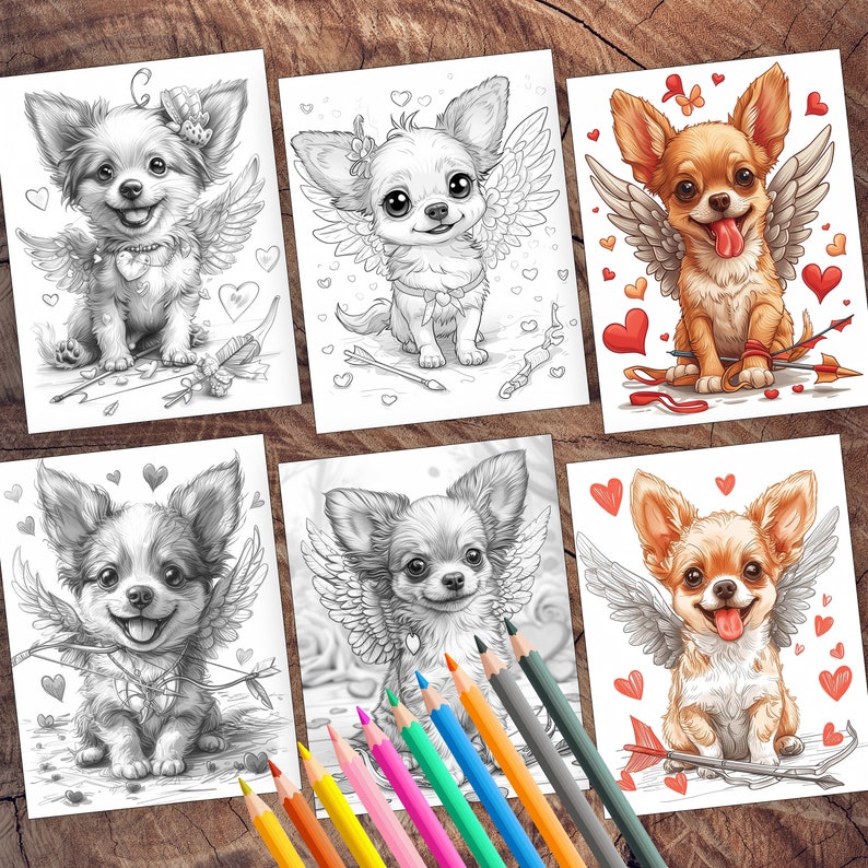 Sweet chihuahua with love for Valentine's Day
