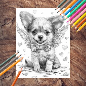 Chihuahua and love hearts Valentine coloring page