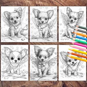 Valentine chihuahua puppy love coloring pages