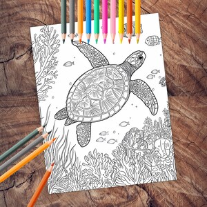 Intricate sea life coloring illustrations