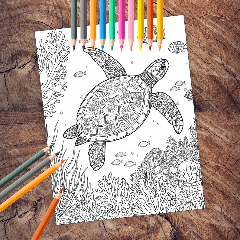 Intricate sea life coloring illustrations