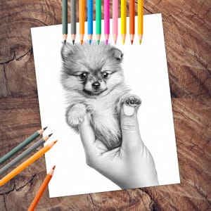 Micro puppies cute coloring book