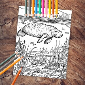 Sea life coloring page featuring ocean animals
