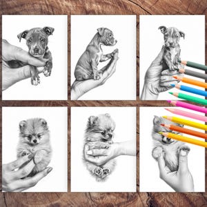 Micro puppies illustrations coloring book
