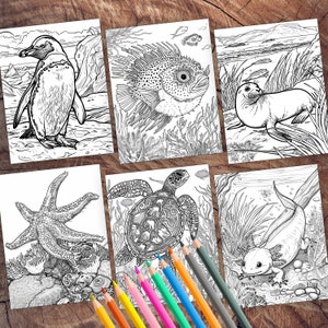Colorful sea creatures and ocean animals coloring page
