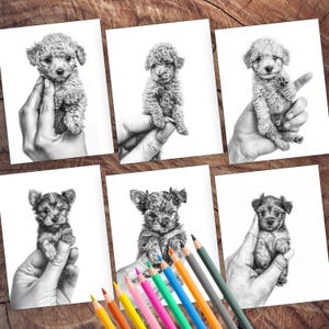 Cute tiny puppies coloring book pages