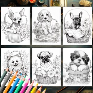 Sweet puppies resting in flower baskets page