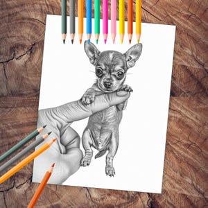 Miniature puppies coloring book pages