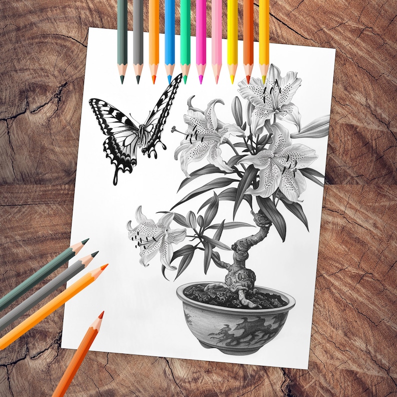 50 Floral Butterfly Coloring Book Printable Flower Butterflies Coloring