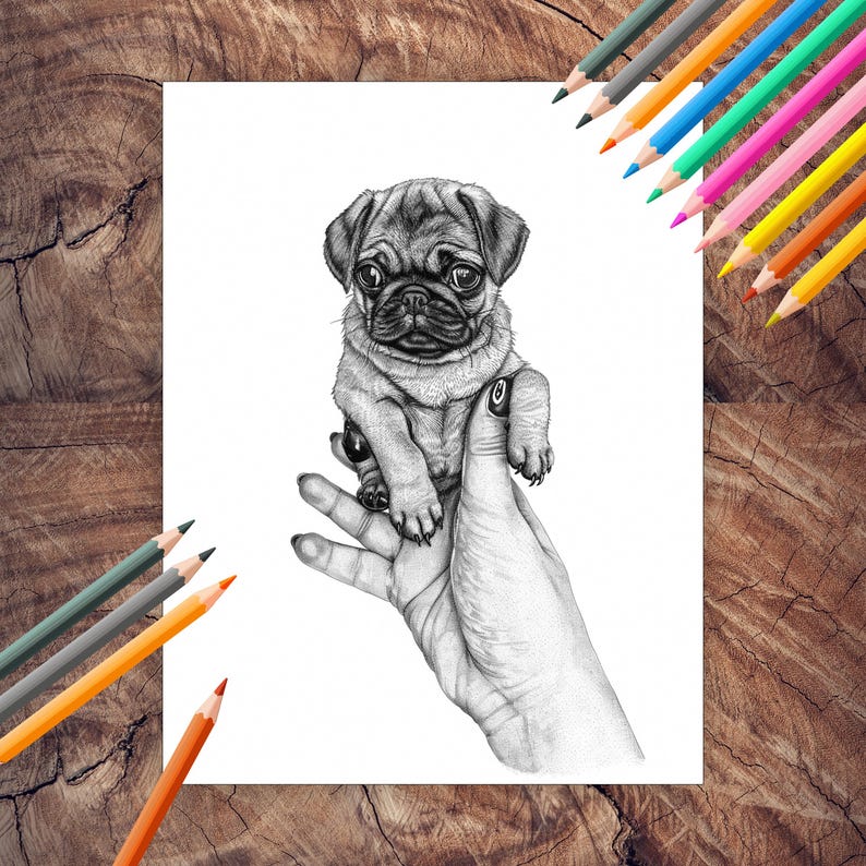 Palm-sized micro puppies coloring pages