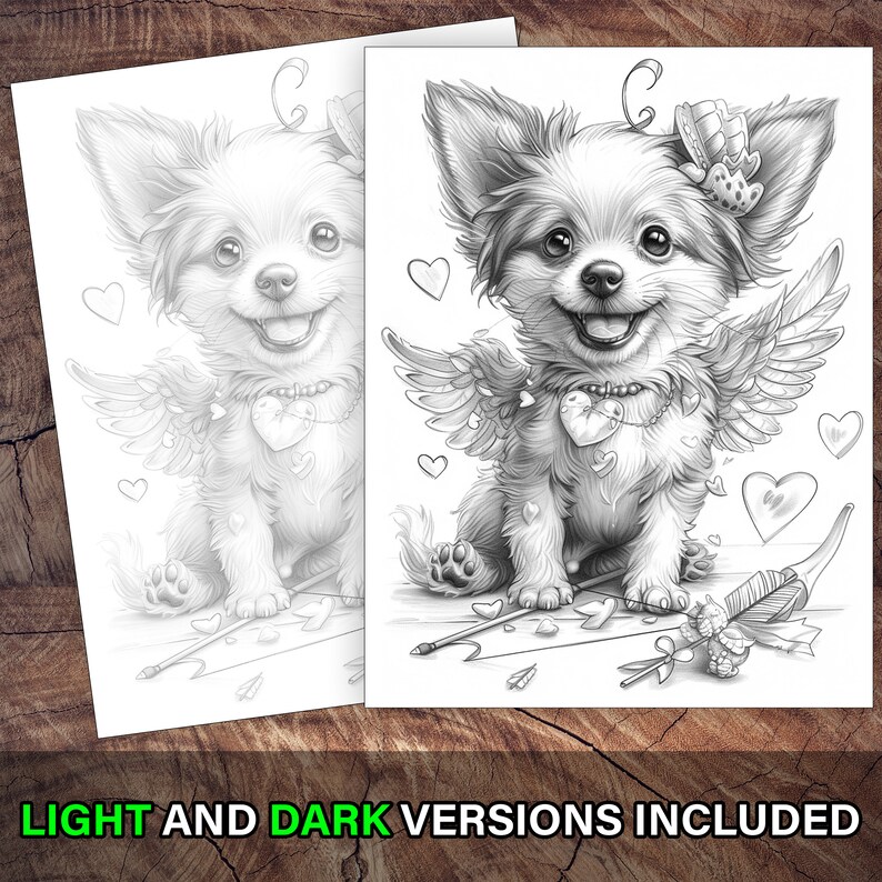 Chihuahua holding a Valentine heart coloring