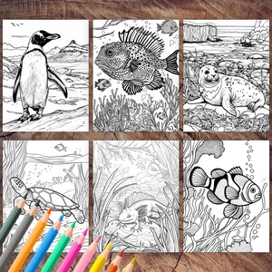 Hand-drawn ocean animals to color