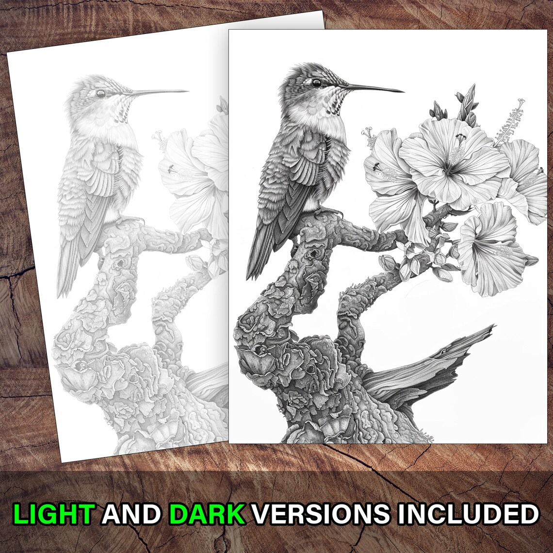 50 Bird Flowers Adult Coloring Book Birds Coloring Book Instant